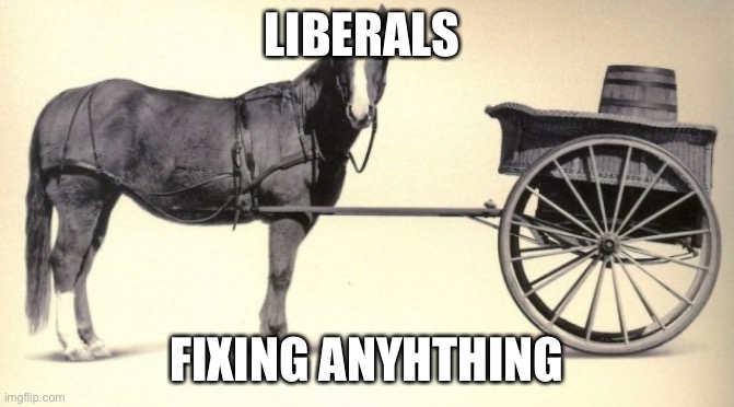 the cart before the horse | LIBERALS FIXING ANYHTHING | image tagged in the cart before the horse | made w/ Imgflip meme maker