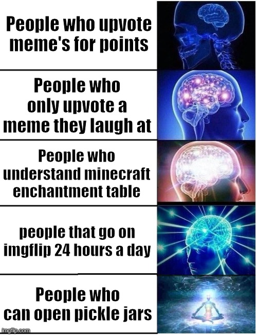 on a whole different level | People who upvote meme's for points; People who only upvote a meme they laugh at; People who understand minecraft enchantment table; people that go on imgflip 24 hours a day; People who can open pickle jars | image tagged in expanding brain 5 panel,memes | made w/ Imgflip meme maker