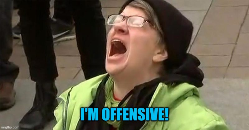 Stupid, too | I'M OFFENSIVE! | image tagged in crying liberal | made w/ Imgflip meme maker