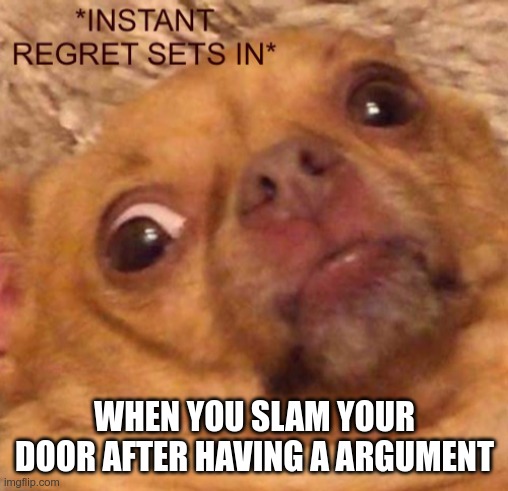 Instant regret sets in | WHEN YOU SLAM YOUR DOOR AFTER HAVING A ARGUMENT | image tagged in instant regret sets in | made w/ Imgflip meme maker