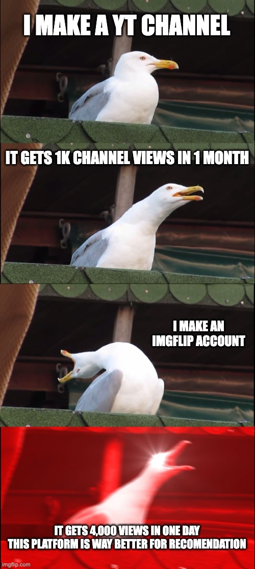 why is youtube less beneficial | I MAKE A YT CHANNEL; IT GETS 1K CHANNEL VIEWS IN 1 MONTH; I MAKE AN IMGFLIP ACCOUNT; IT GETS 4,000 VIEWS IN ONE DAY
THIS PLATFORM IS WAY BETTER FOR RECOMENDATION | image tagged in memes,inhaling seagull | made w/ Imgflip meme maker
