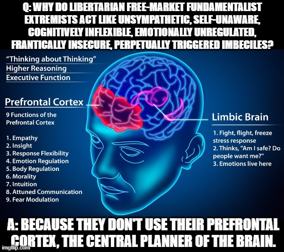 “Freedom” Doesn’t Mean Freedom From Having To Think About What You Do, Why You Want To Do It, And How Best To Do It | Q: WHY DO LIBERTARIAN FREE-MARKET FUNDAMENTALIST EXTREMISTS ACT LIKE UNSYMPATHETIC, SELF-UNAWARE, COGNITIVELY INFLEXIBLE, EMOTIONALLY UNREGULATED, FRANTICALLY INSECURE, PERPETUALLY TRIGGERED IMBECILES? A: BECAUSE THEY DON'T USE THEIR PREFRONTAL CORTEX, THE CENTRAL PLANNER OF THE BRAIN. | image tagged in free market,capitalism,libertarians,planning,freedom,economics | made w/ Imgflip meme maker