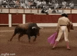 5txgxt.gif