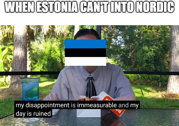 Country Slander p.10 (TW: DARK HUMOR.) | WHEN ESTONIA CAN'T INTO NORDIC | image tagged in my disappointment is immeasurable | made w/ Imgflip meme maker