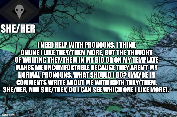 Pronoun mini-rant | I NEED HELP WITH PRONOUNS. I THINK ONLINE I LIKE THEY/THEM MORE, BUT THE THOUGHT OF WRITING THEY/THEM IN MY BIO OR ON MY TEMPLATE MAKES ME UNCOMFORTABLE BECAUSE THEY AREN’T MY NORMAL PRONOUNS. WHAT SHOULD I DO? (MAYBE IN COMMENTS WRITE ABOUT ME WITH BOTH THEY/THEM, SHE/HER, AND SHE/THEY, DO I CAN SEE WHICH ONE I LIKE MORE). | image tagged in northern lights termcollector template | made w/ Imgflip meme maker