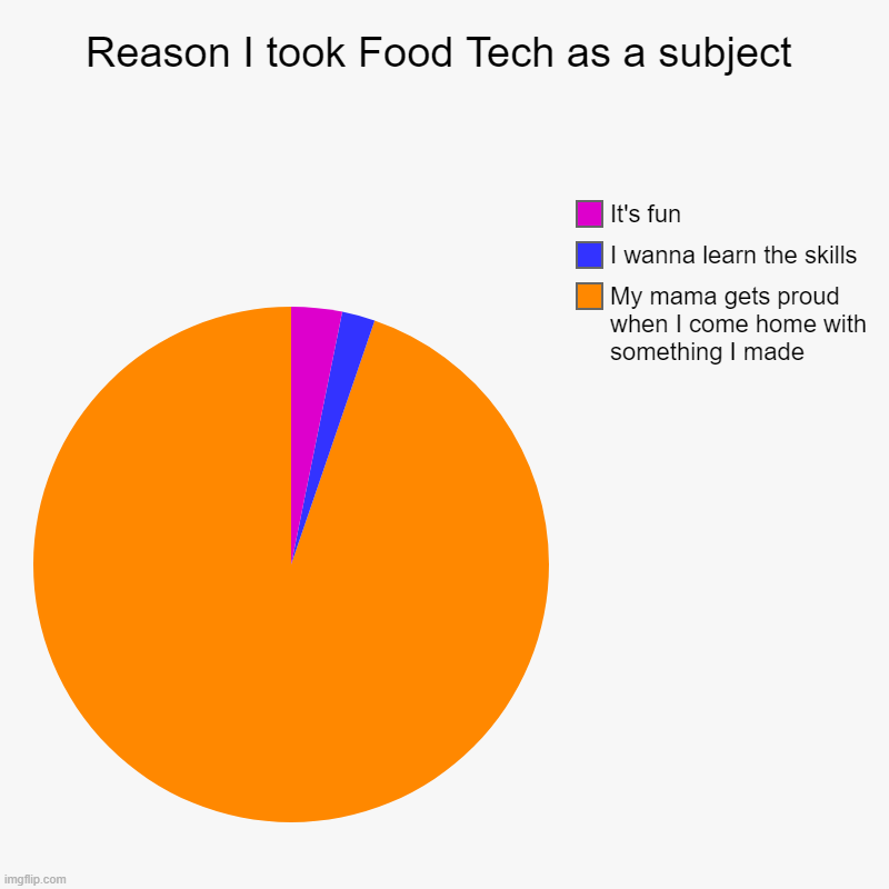 Also my classmate Oli likes to make pride themed food and it's awesome | Reason I took Food Tech as a subject | My mama gets proud when I come home with something I made, I wanna learn the skills, It's fun | image tagged in charts,pie charts | made w/ Imgflip chart maker