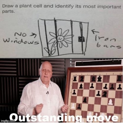 Infinite iq | image tagged in outstanding move,i am smort,funny test answers,jail,well yes outstanding move but it's illegal,memes | made w/ Imgflip meme maker