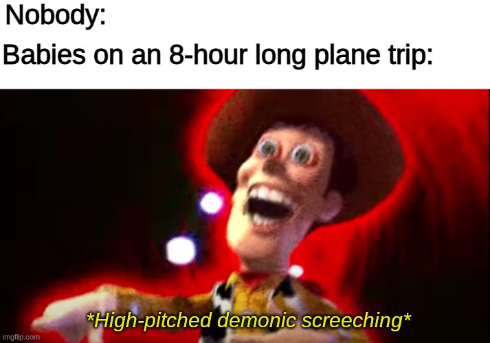 It's gonna be a longgggg flight | Nobody:; Babies on an 8-hour long plane trip:; *High-pitched demonic screeching* | image tagged in funny memes,funny,fun,dank memes,memes,high-pitched demonic screeching | made w/ Imgflip meme maker