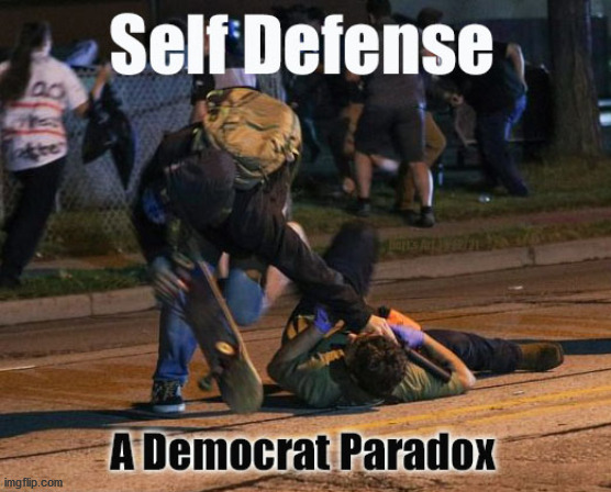 Self Defense A Democrat Paradox If it Doesn't Fit the Narrative how Can it Be | image tagged in political meme,self defense,paradox narrative agenda,assault attack defend,kyle rittenhouse binger trial kenosha wi | made w/ Imgflip meme maker