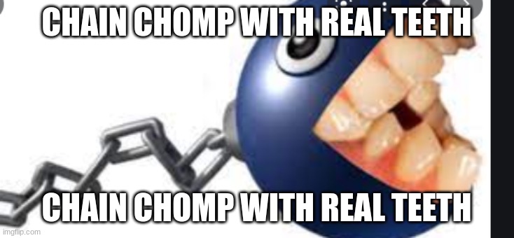 A | CHAIN CHOMP WITH REAL TEETH; CHAIN CHOMP WITH REAL TEETH | image tagged in cursed image | made w/ Imgflip meme maker