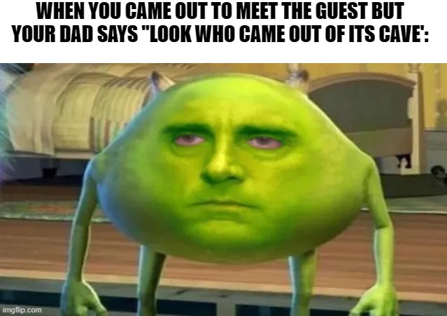 me | WHEN YOU CAME OUT TO MEET THE GUEST BUT YOUR DAD SAYS "LOOK WHO CAME OUT OF ITS CAVE': | image tagged in mike wazowski | made w/ Imgflip meme maker