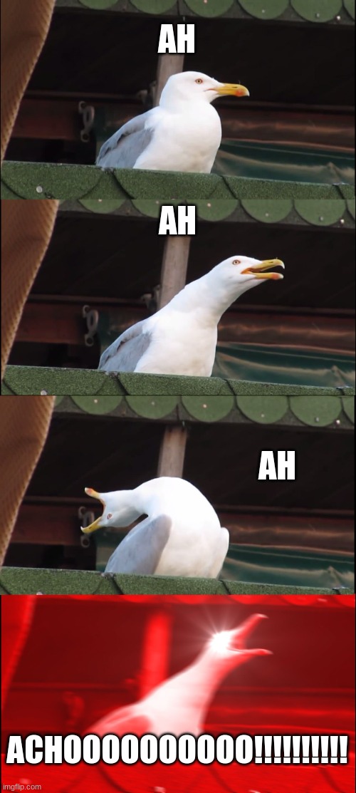 sneezing seagull | AH; AH; AH; ACHOOOOOOOOOO!!!!!!!!!! | image tagged in memes,inhaling seagull | made w/ Imgflip meme maker
