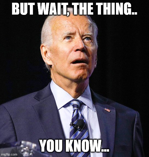 Joe Biden | BUT WAIT, THE THING.. YOU KNOW... | image tagged in joe biden | made w/ Imgflip meme maker