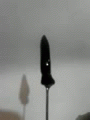     POKER KING POKERs                Are  Remarkably Multifunctional!           SUIT POKER | image tagged in gifs,artistic,internet,cake tester,drink stirrer,baking tool | made w/ Imgflip video-to-gif maker