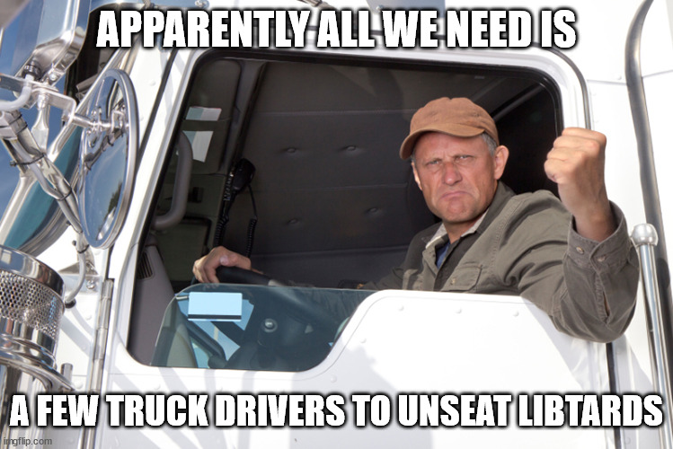 Angry truck driver | APPARENTLY ALL WE NEED IS A FEW TRUCK DRIVERS TO UNSEAT LIBTARDS | image tagged in angry truck driver | made w/ Imgflip meme maker