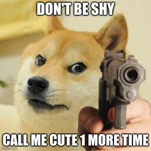 Doge holding a gun | DON'T BE SHY; CALL ME CUTE 1 MORE TIME | image tagged in doge holding a gun | made w/ Imgflip meme maker