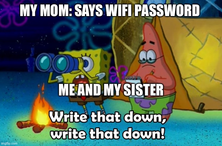 6yo me be like: | MY MOM: SAYS WIFI PASSWORD; ME AND MY SISTER | image tagged in write that down,wifi,memes | made w/ Imgflip meme maker