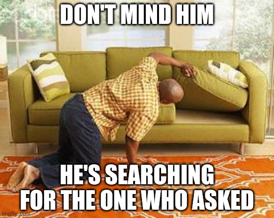 searching  | DON'T MIND HIM HE'S SEARCHING FOR THE ONE WHO ASKED | image tagged in searching | made w/ Imgflip meme maker