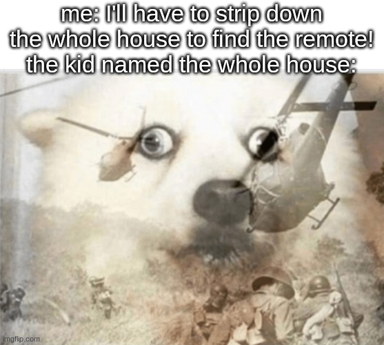 eh im back, with a bit of meme for u | me: I'll have to strip down the whole house to find the remote!
the kid named the whole house: | image tagged in ptsd dog | made w/ Imgflip meme maker