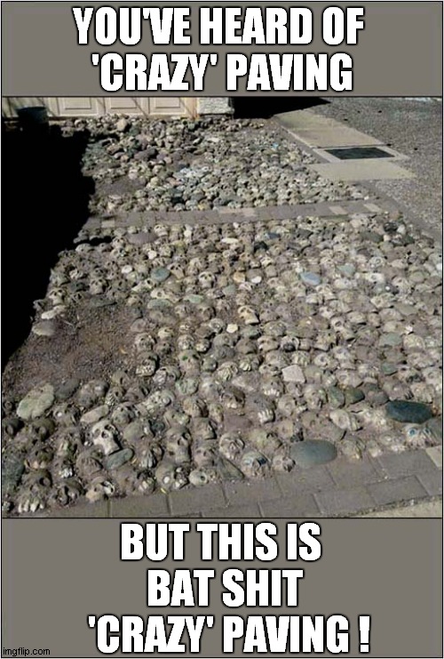 It Seemed A Pity To Waste All Those Skulls ! | YOU'VE HEARD OF 
'CRAZY' PAVING; BUT THIS IS 
BAT SHIT
 'CRAZY' PAVING ! | image tagged in skulls,crazy paving,dark humour | made w/ Imgflip meme maker