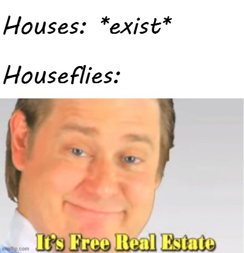 ok then | Houses: *exist*; Houseflies: | image tagged in it's free real estate,fly | made w/ Imgflip meme maker