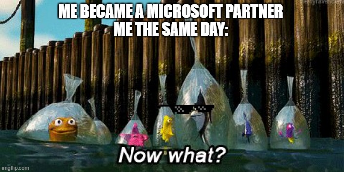 overwhelming but I am honnered | ME BECAME A MICROSOFT PARTNER
ME THE SAME DAY: | image tagged in now what | made w/ Imgflip meme maker