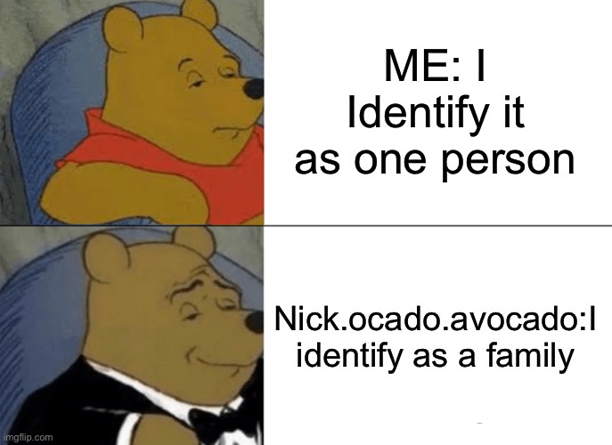 Tuxedo Winnie The Pooh Meme | ME: I Identify it as one person; Nick.ocado.avocado:I identify as a family | image tagged in memes,tuxedo winnie the pooh | made w/ Imgflip meme maker