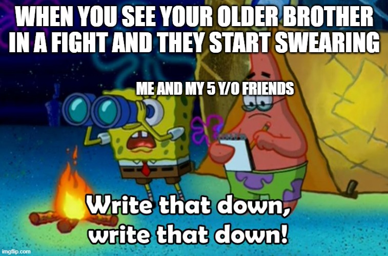 write that down | WHEN YOU SEE YOUR OLDER BROTHER IN A FIGHT AND THEY START SWEARING; ME AND MY 5 Y/O FRIENDS | image tagged in write that down | made w/ Imgflip meme maker