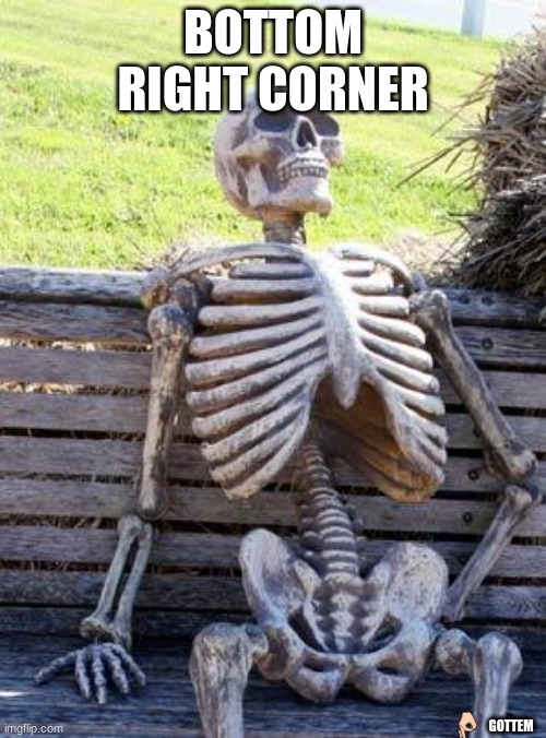 Waiting Skeleton Meme |  BOTTOM RIGHT CORNER; GOTTEM | image tagged in memes,waiting skeleton | made w/ Imgflip meme maker