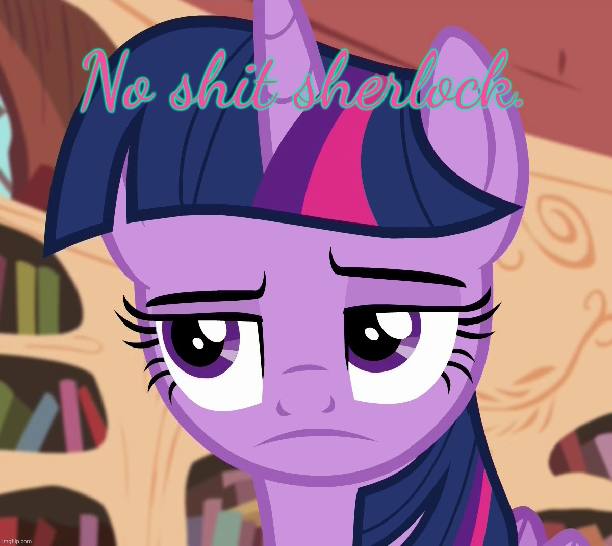 Unamused Twilight Sparkle (MLP) | No shit sherlock. | image tagged in unamused twilight sparkle mlp | made w/ Imgflip meme maker