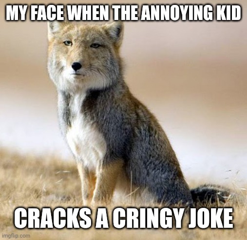 Tibetan Sand Fox | MY FACE WHEN THE ANNOYING KID; CRACKS A CRINGY JOKE | image tagged in tibetan sand fox | made w/ Imgflip meme maker