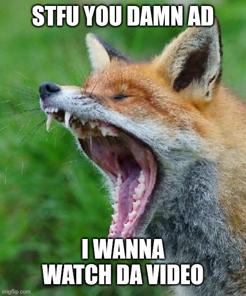 Red Fox | STFU YOU DAMN AD; I WANNA WATCH DA VIDEO | image tagged in red fox | made w/ Imgflip meme maker