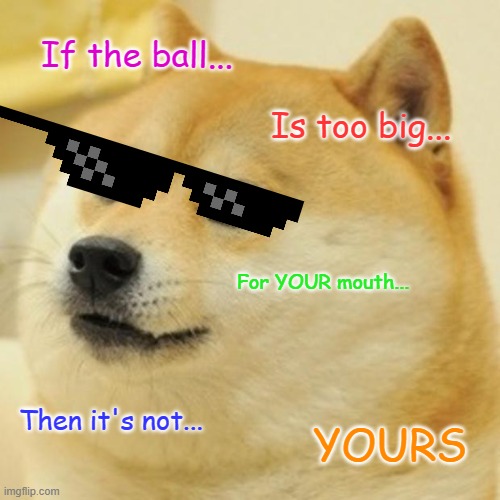 WISDOM OF THE DOGE | If the ball... Is too big... For YOUR mouth... Then it's not... YOURS | image tagged in memes,doge | made w/ Imgflip meme maker