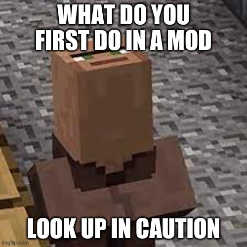 what to do | WHAT DO YOU FIRST DO IN A MOD; LOOK UP IN CAUTION | image tagged in dumb,am i the only one around here | made w/ Imgflip meme maker
