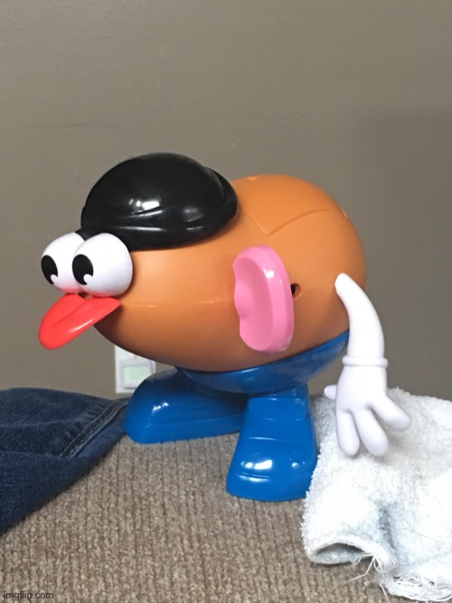Mr patoa head | image tagged in mr patoa head | made w/ Imgflip meme maker