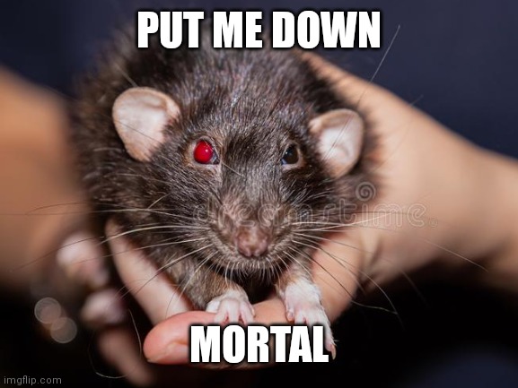 PUT ME DOWN; MORTAL | image tagged in rats | made w/ Imgflip meme maker