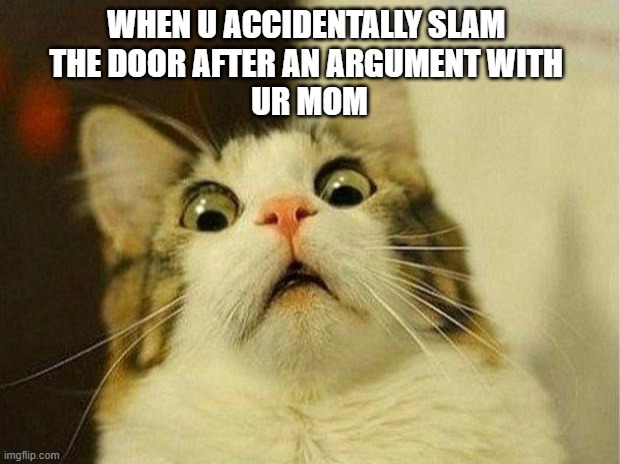 Scared Cat Meme | WHEN U ACCIDENTALLY SLAM 
THE DOOR AFTER AN ARGUMENT WITH 
UR MOM | image tagged in memes,scared cat | made w/ Imgflip meme maker