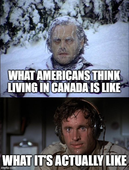 It do be like that | WHAT AMERICANS THINK LIVING IN CANADA IS LIKE; WHAT IT'S ACTUALLY LIKE | image tagged in jack torrence frozen,pilot sweating,memes,canada,cold,hot | made w/ Imgflip meme maker