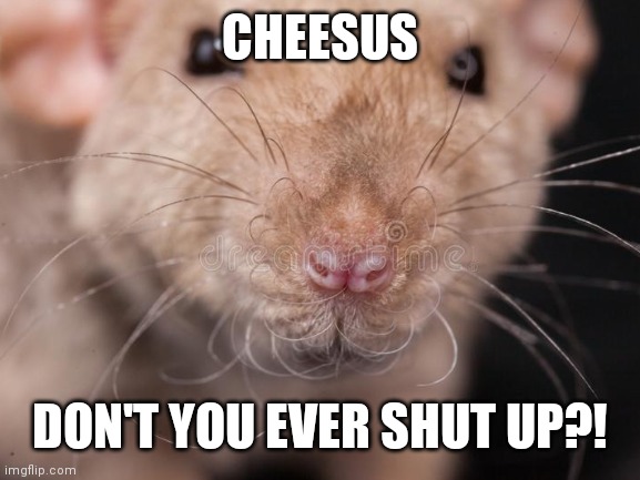 CHEESUS; DON'T YOU EVER SHUT UP?! | image tagged in rats | made w/ Imgflip meme maker