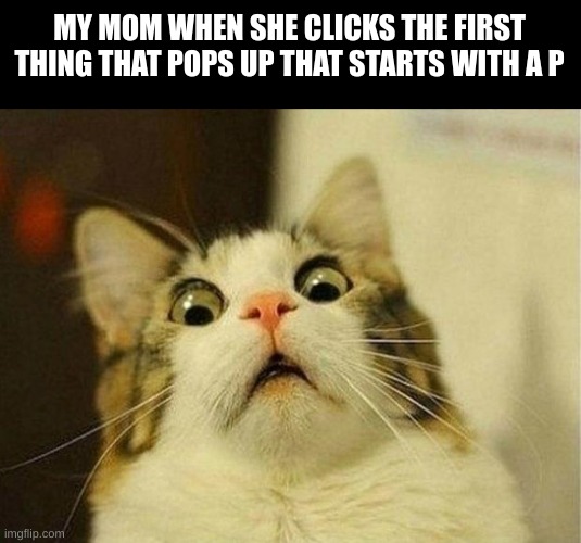 Scared Cat Meme | MY MOM WHEN SHE CLICKS THE FIRST THING THAT POPS UP THAT STARTS WITH A P | image tagged in memes,scared cat | made w/ Imgflip meme maker