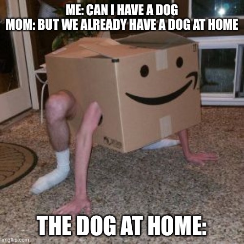 Amazon Box Guy | ME: CAN I HAVE A DOG
MOM: BUT WE ALREADY HAVE A DOG AT HOME; THE DOG AT HOME: | image tagged in amazon box guy | made w/ Imgflip meme maker