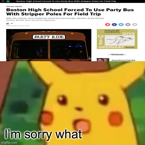 Surprised Pikachu | I’m sorry what | image tagged in memes,surprised pikachu | made w/ Imgflip meme maker