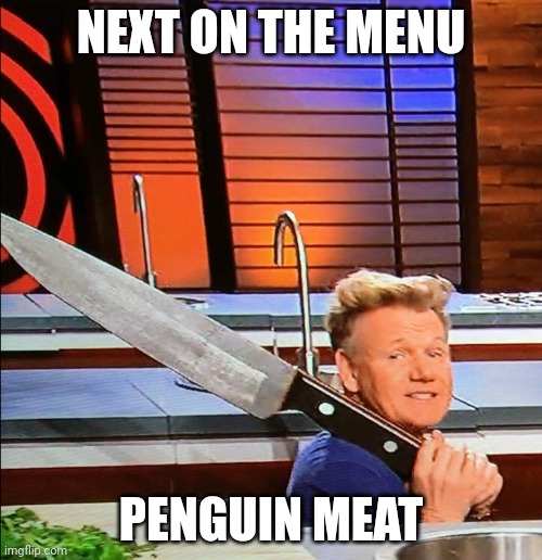 Gordon Ramsay with knife | NEXT ON THE MENU PENGUIN MEAT | image tagged in gordon ramsay with knife | made w/ Imgflip meme maker