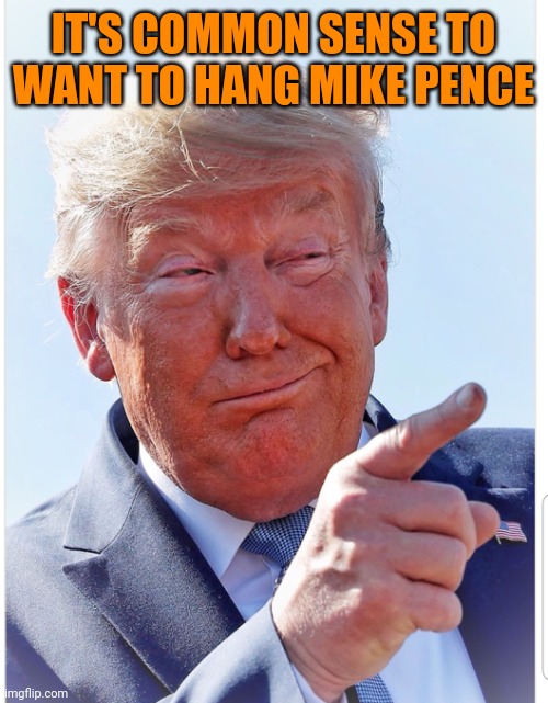 Trump pointing | IT'S COMMON SENSE TO WANT TO HANG MIKE PENCE | image tagged in trump pointing | made w/ Imgflip meme maker
