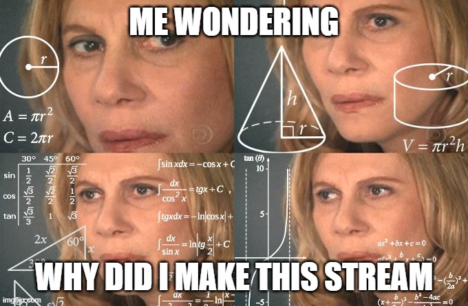 idk | ME WONDERING; WHY DID I MAKE THIS STREAM | image tagged in calculating meme | made w/ Imgflip meme maker