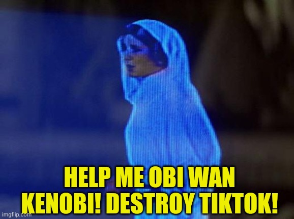 help me obi wan | HELP ME OBI WAN KENOBI! DESTROY TIKTOK! | image tagged in help me obi wan | made w/ Imgflip meme maker