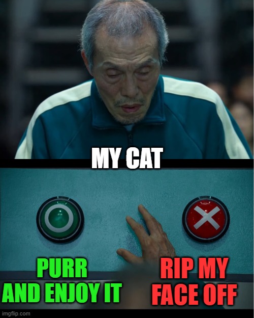 Kitties are hard to read | MY CAT; PURR AND ENJOY IT; RIP MY FACE OFF | image tagged in squid game,memes,cats,purr,claw | made w/ Imgflip meme maker