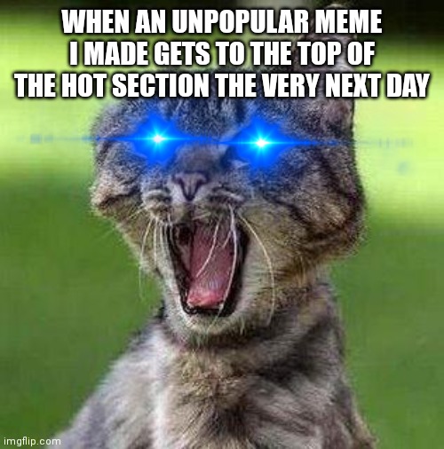 Shocked Cat | WHEN AN UNPOPULAR MEME I MADE GETS TO THE TOP OF THE HOT SECTION THE VERY NEXT DAY | image tagged in shocked cat | made w/ Imgflip meme maker