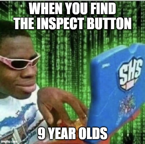 Ryan Beckford | WHEN YOU FIND THE INSPECT BUTTON; 9 YEAR OLDS | image tagged in ryan beckford | made w/ Imgflip meme maker