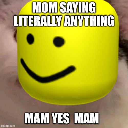 MOM SAYING LITERALLY ANYTHING; MAM YES  MAM | made w/ Imgflip meme maker